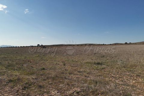 Helårsgrund i Yecla, Murcia, Yecla - € 29.900 | Ref: SF0304 - foto 7